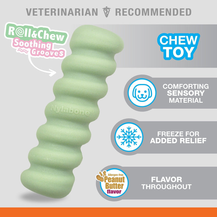 Sensory Material Puppy Teething Toy, Peanut Butter, Small/Regular, Up to 25 Ibs. - Jeffers - Dog Supplies > Dog Toys