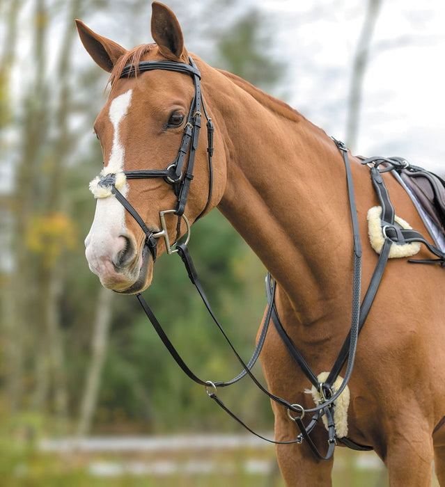 Shires Five Point Breastplate - Jeffers - Horse Supplies > Horse Tack > Breastplates & Martingales