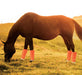 ShooFly Leggins for Horses, 4 - pack - Jeffers - Horse Supplies > Horse Boots & Leg Wraps