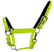 Showman Fluorescent Halters, Full - Jeffers - Horse Supplies > Horse Tack > Horse Halters