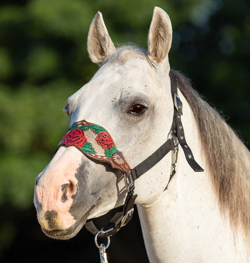 Showman Painted Rose Bronc Halter - Jeffers - Horse Supplies > Horse Tack > Horse Halters