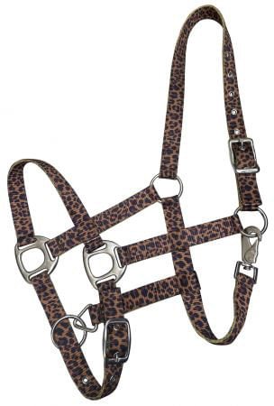 Showman Premium Nylon Halter - Jeffers - Horse Supplies > Horse Tack > Horse Halters