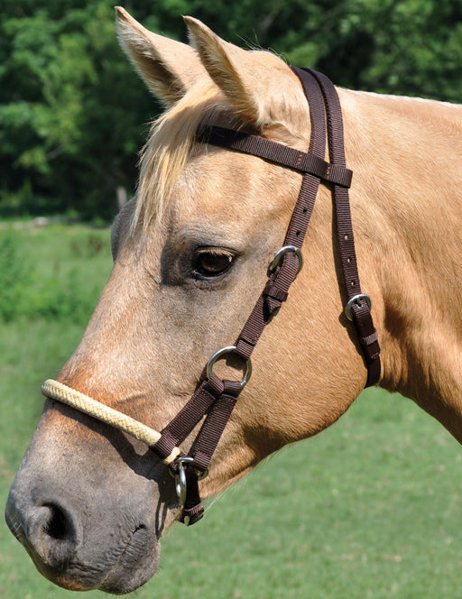 Sidepull Bridle, 3/4' - Jeffers - Horse Supplies > Horse Tack > Bridles & Headstalls