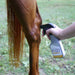 Silver Honey Rapid Wound Repair Spray - Jeffers - Animal Health & Wellness > Skin & Coat Care