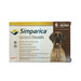 Simparica Chewable Tablets - Jeffers - Animal Health & Wellness > Flea & Tick Control