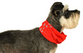 Snoodie - Jeffers - Dog Supplies > Dog Apparel