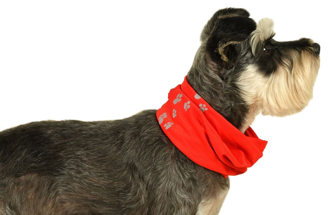 Snoodie - Jeffers - Dog Supplies > Dog Apparel