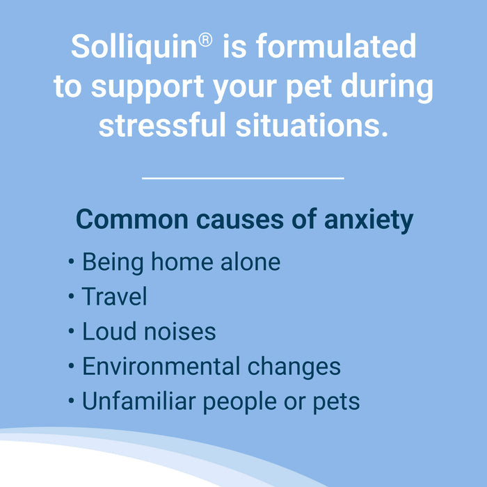 Solliquin Soft Chews 75 ct for SM to Med Dogs/Large Cats - Jeffers - Animal Health & Wellness > Vitamins & Supplements