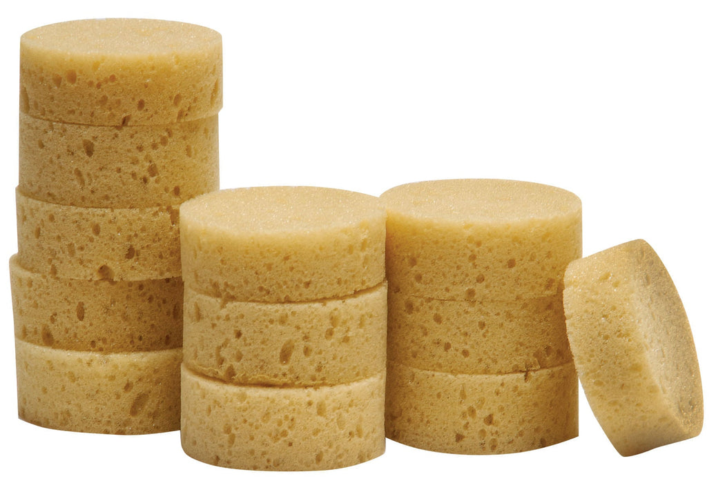 Sponges - Jeffers - Farm & Ranch Supplies > Grooming Supplies