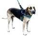 Sporn Easy Fit Mesh Harness, Blue - Jeffers - Dog Supplies > Dog Apparel > Dog Collars, Harnesses, & Leashes