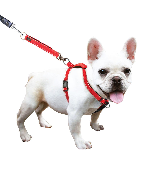 Sporn Ultimate Control Harness, Black - Jeffers - Dog Supplies > Dog Apparel > Dog Collars, Harnesses, & Leashes