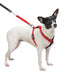 Sporn Ultimate Control Harness, Black - Jeffers - Dog Supplies > Dog Apparel > Dog Collars, Harnesses, & Leashes