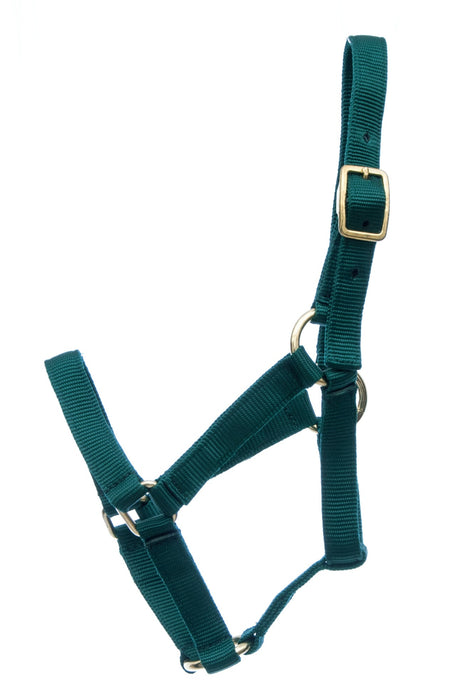 Jeffers Miniature Yearling (under 100 lb) Nylon Halter - Jeffers - Horse Supplies > Horse Tack > Horse Halters