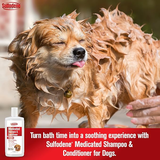 Sulfodene Medicated Shampoo & Conditioner for Dogs - Jeffers - Animal & Pet Supplies > Pet Grooming