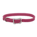 Sunburst Dog Collar with Bone Buckle - Jeffers - Dog Supplies > Dog Apparel > Dog Collars, Harnesses, & Leashes