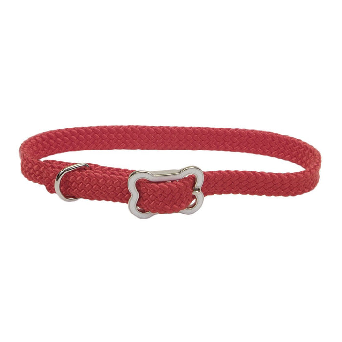 Sunburst Dog Collar with Bone Buckle - Jeffers - Dog Supplies > Dog Apparel > Dog Collars, Harnesses, & Leashes