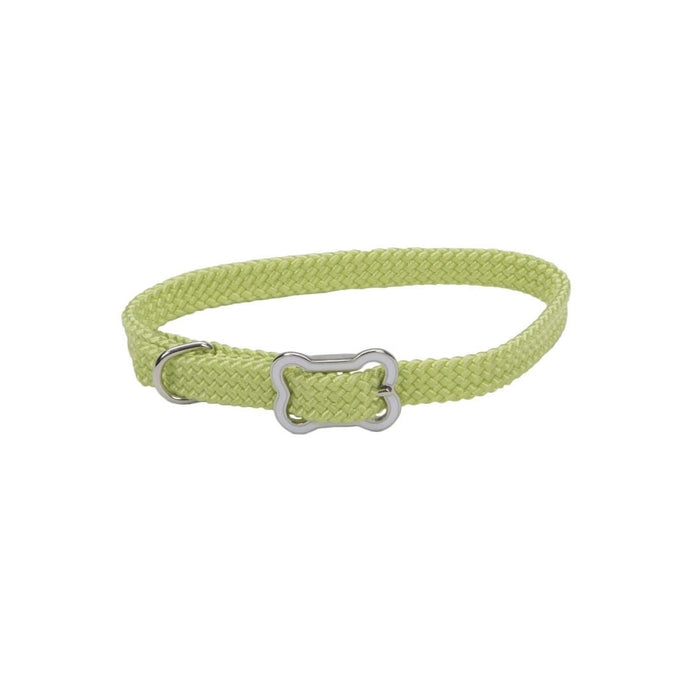 Sunburst Dog Collar with Bone Buckle - Jeffers - Dog Supplies > Dog Apparel > Dog Collars, Harnesses, & Leashes