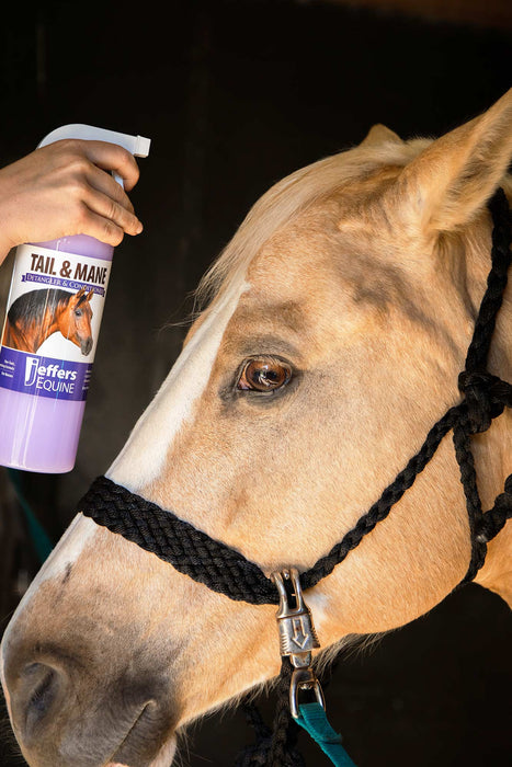 Tail & Mane Detangler & Conditioner - Jeffers - Horse Supplies > Horse Grooming