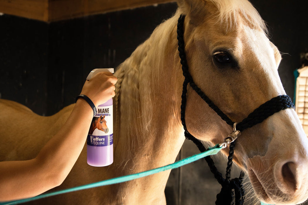 Tail & Mane Detangler & Conditioner - Jeffers - Horse Supplies > Horse Grooming