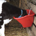 The Better Bucket, 5 Gallon - Jeffers - Horse Supplies > Horse Supplies