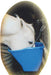 The Better Bucket, 5 Gallon - Jeffers - Horse Supplies > Horse Supplies