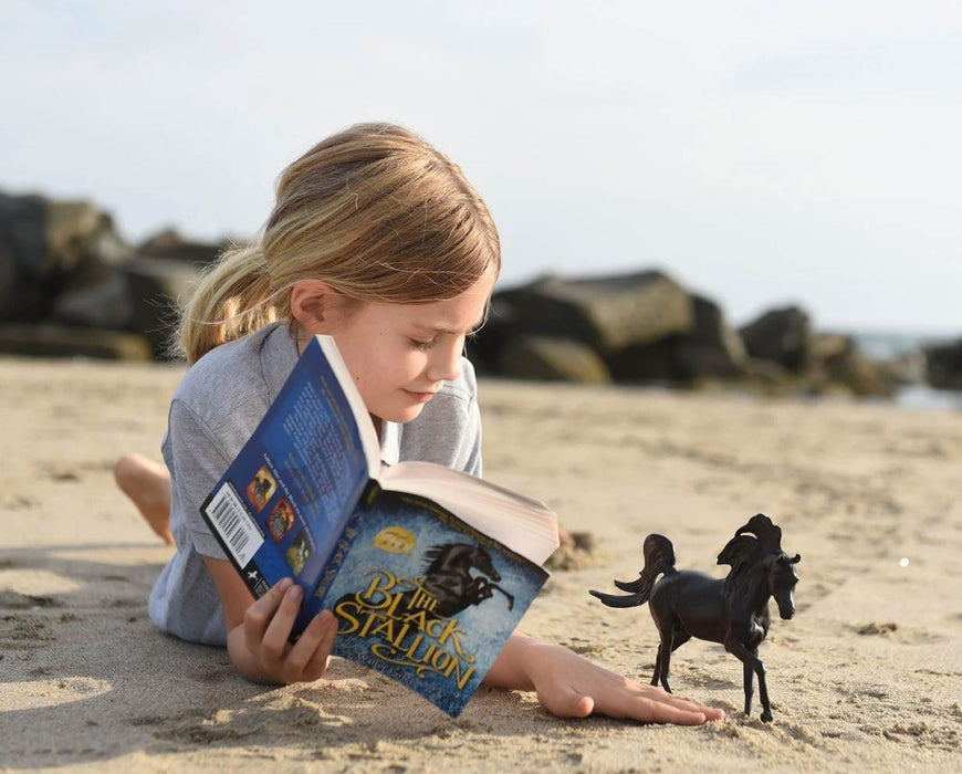 The Black Stallion Horse & Book Set - Jeffers - Animal & Pet Supplies > Animal & Nature Books