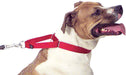 The Premier Collar, 1' x 10' - 16' - Jeffers - Dog Supplies > Dog Apparel > Dog Collars, Harnesses, & Leashes