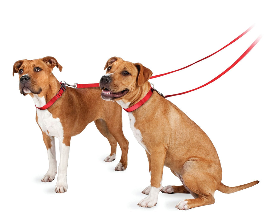 The Premier Leash, 3/4' x 6 ft - Jeffers - Dog Supplies > Dog Apparel > Dog Collars, Harnesses, & Leashes