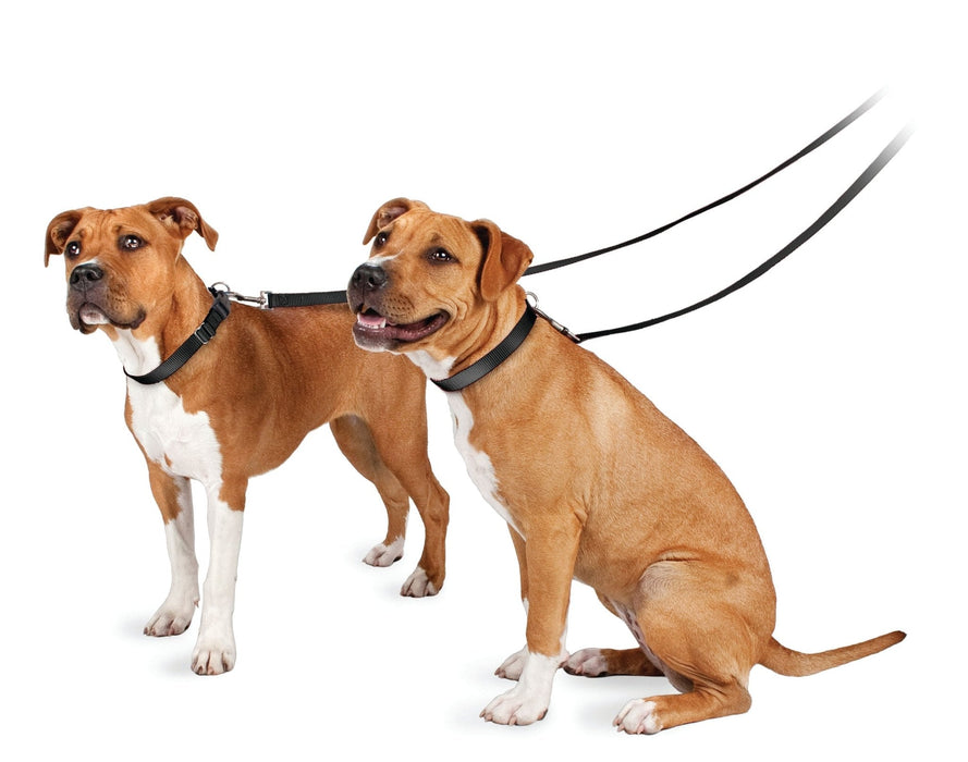 The Premier Leash, 3/4' x 6 ft - Jeffers - Dog Supplies > Dog Apparel > Dog Collars, Harnesses, & Leashes