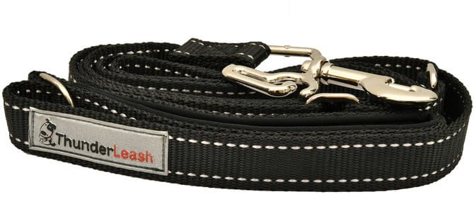 ThunderLeash Dog Leash - Jeffers - Dog Supplies > Dog Apparel > Dog Collars, Harnesses, & Leashes