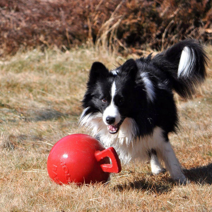 Tug- n - Toss Jolly Ball - Jeffers - Dog Supplies > Dog Toys