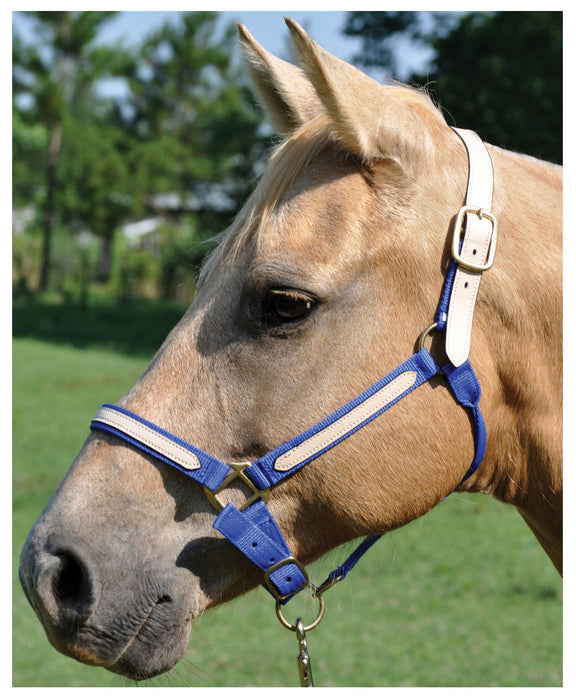 Tough1 Leather Overlay Breakaway Horse Nylon Halter - Jeffers - Horse Supplies > Horse Tack > Horse Halters