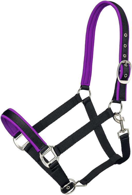 Tough1 Padded Nylon Horse Halter, Full - Jeffers - Horse Supplies > Horse Tack > Horse Halters