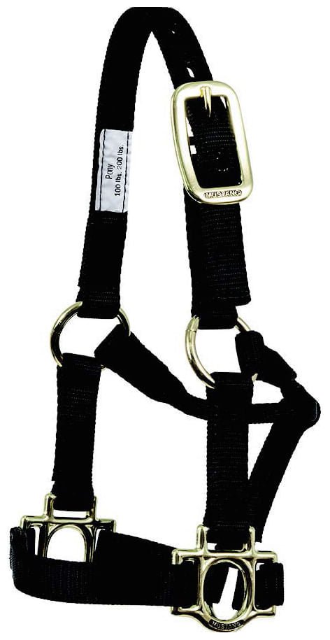 Traditional Nylon Pony Halter - Jeffers - Horse Supplies > Horse Tack > Horse Halters