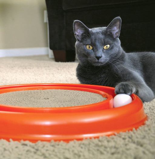 Turbo Cat Scratcher - Jeffers - Cat Supplies > Cat Toys