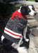 Twisted Yarn Dog Sweater - Jeffers - Dog Supplies > Dog Apparel