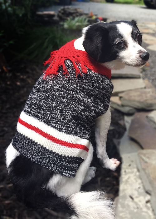 Twisted Yarn Dog Sweater - Jeffers - Dog Supplies > Dog Apparel