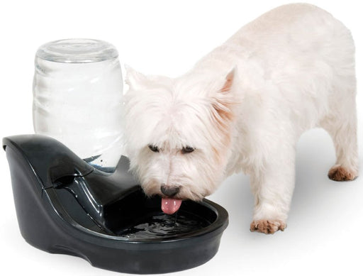 UV Light Infinity Water Purifying Fountain - Jeffers - Animal & Pet Supplies > Pet Bowls, Feeders & Waterers