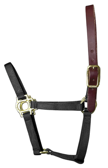 Valhoma Foal & Yearling Premium Breakaway Nylon Halter with Leather Crown - Jeffers - Horse Supplies > Horse Tack > Horse Halters