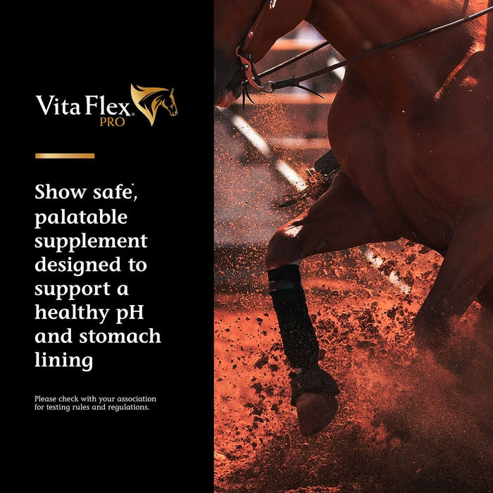 Vita Flex Pro Daily Gastric Care, 16.5 Pounds - Jeffers - Animal Health & Wellness > Vitamins & Supplements