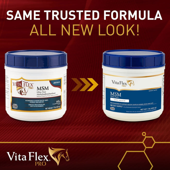 Vita Flex Pro MSM Quality Joint Supplement for Horses, Dogs and Cats - Jeffers - Animal Health & Wellness > Joint Health