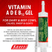 Vitamin ADE & B12 Gel - Jeffers - Animal Health & Wellness > Vitamins & Supplements