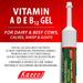 Vitamin ADE & B12 Gel - Jeffers - Animal Health & Wellness > Vitamins & Supplements