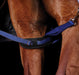 WeatherBeeta Padded Hind Leg Straps, Pair - Jeffers - Horse Supplies > Horse Blankets & Sheets