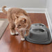 WeatherTech Double High Pet Feeding System, Stainless Steel - Jeffers - Animal & Pet Supplies > Pet Bowls, Feeders & Waterers