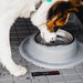 WeatherTech Single Low Pet Feeding System, Stainless Steel - Jeffers - Animal & Pet Supplies > Pet Bowls, Feeders & Waterers