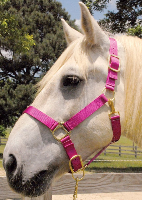 Weaver Draft Horse Halter, Regular (1400 - 1700 lb) - Jeffers - Horse Supplies > Horse Tack > Horse Halters