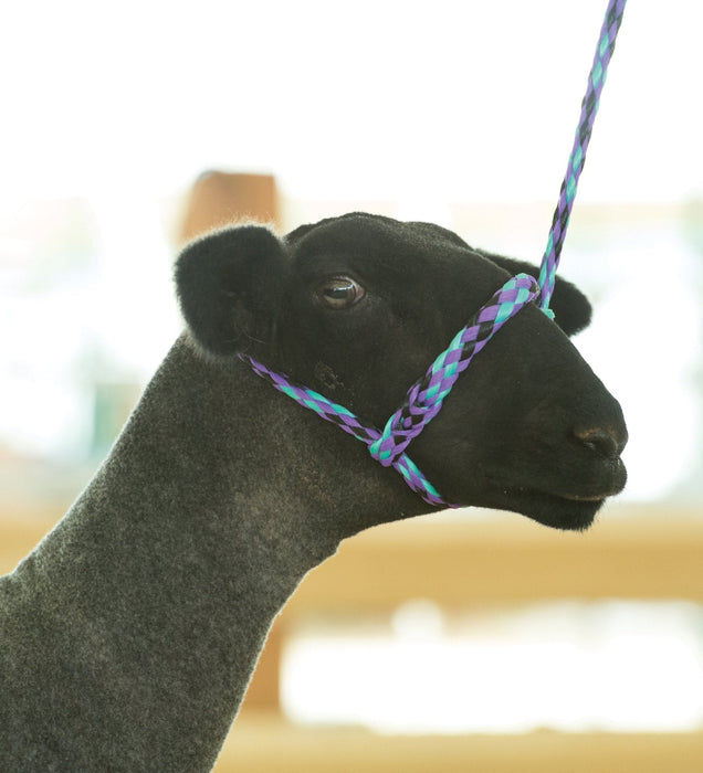 Weaver Leather Sheep & Goat Poly Rope Halter - Jeffers - Sheep Supplies > Sheep Supplies