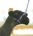 Weaver Leather Sheep & Goat Poly Rope Halter - Jeffers - Sheep Supplies > Sheep Supplies