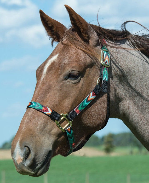 Weaver Nylon Chevron Halter, Black/Multi - Jeffers - Horse Supplies > Horse Tack > Horse Halters